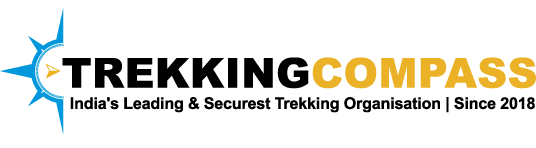 Trekking Compass-Logo